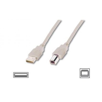 Zdjęcia - Kabel ASSMANN  drukarkowy USB  2.0 A/M - USB B /M, 1,8 m 